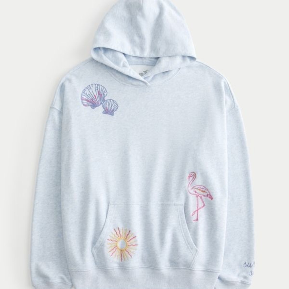 Hollister Embroidered Beachy Hoodie